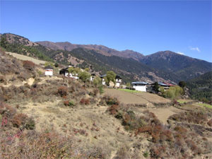 Dagala Thousand Lake Trekking