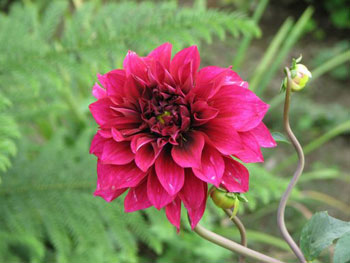 Verantwortlich Reisen